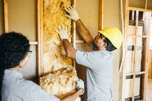 Best Residential Insulation Services  in Setauket, NY