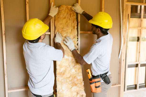 Best Insulation Replacement Services  in Setauket, NY